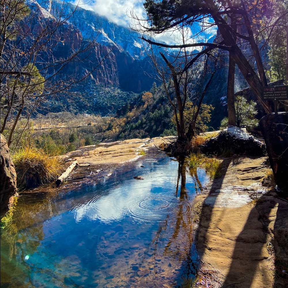 Meet your Posher, Susie